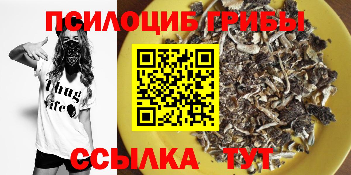 Галлюциногенные грибы Magic Shrooms  Вход с VPN  Волхов 