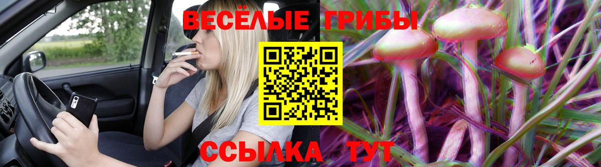  Cocaine Волхов